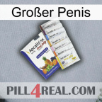 Großer Penis 11